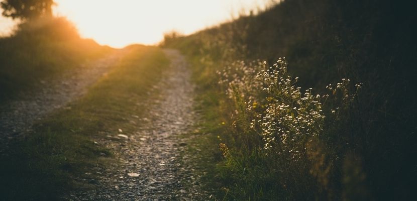 hr-career-paths