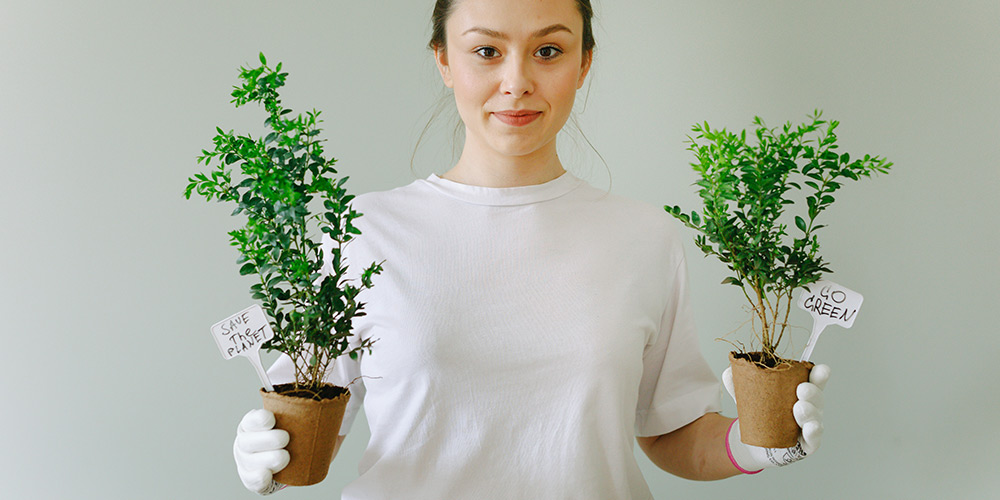 Diez formas de hacer tu empresa más ecológica y sostenible