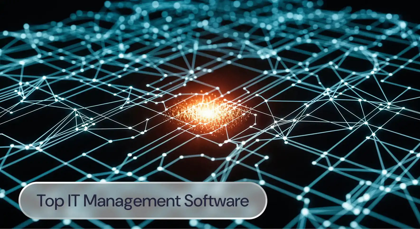 A graphic representing an array of nodes, with the label: Top IT management software